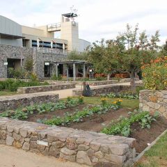 Photo of Culinary Garden at Copia